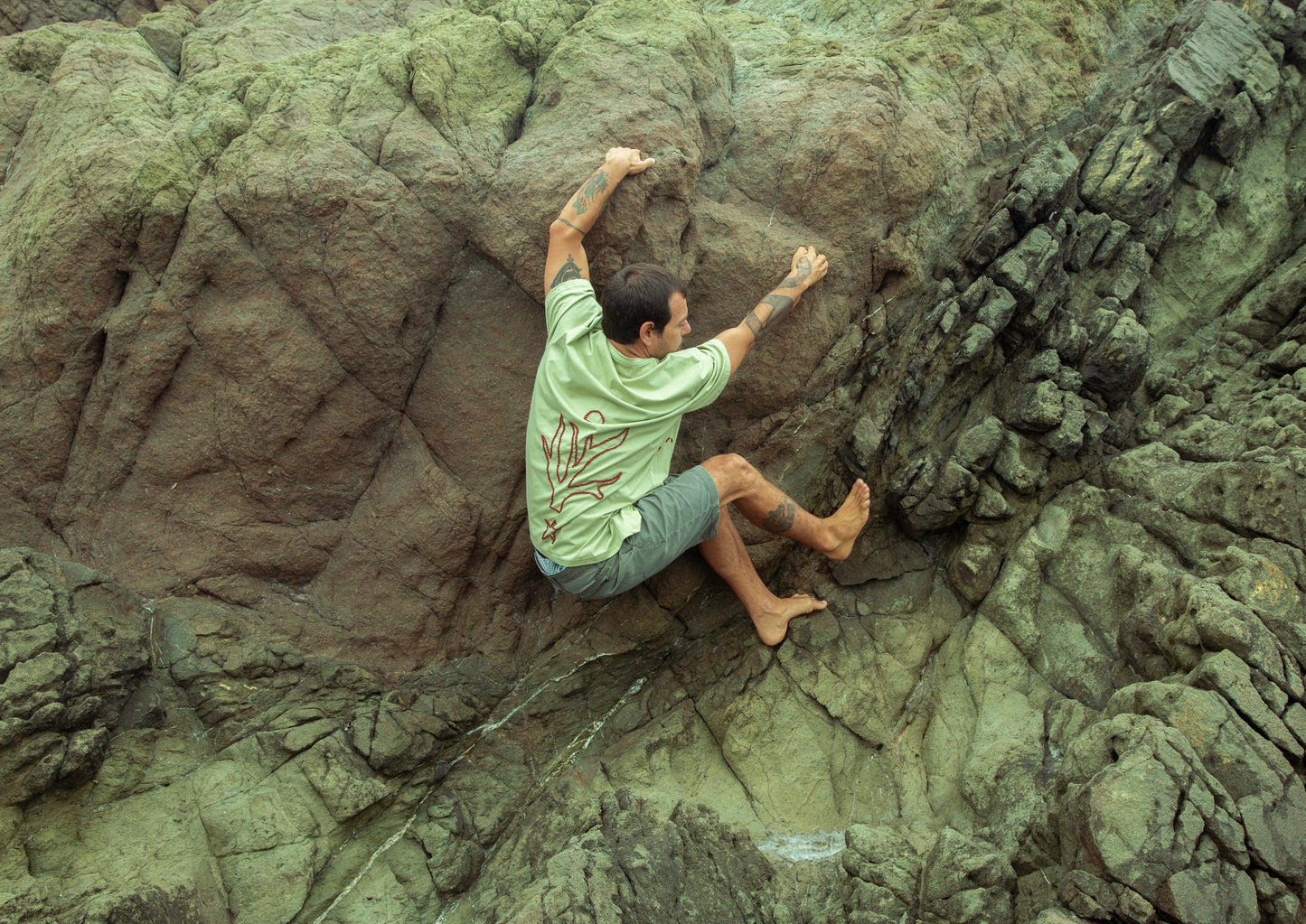 Polo <<Crecer en el Mar >>
